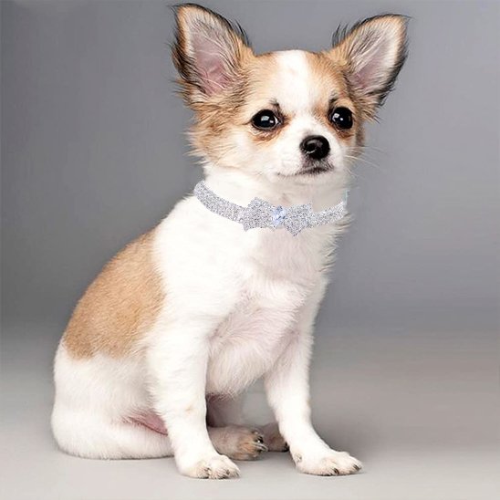 Collier chien | Collier Nœud Papillon Strass Chien