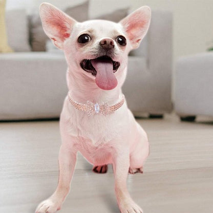 Collier chien | Collier Nœud Papillon Strass Chien