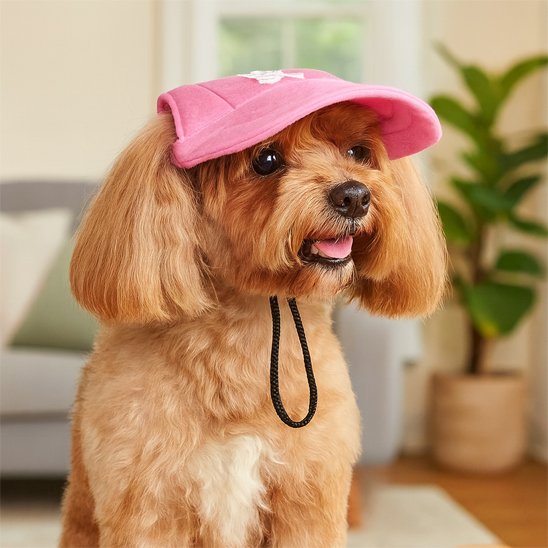 Casquette chien | SunnyPup Visière