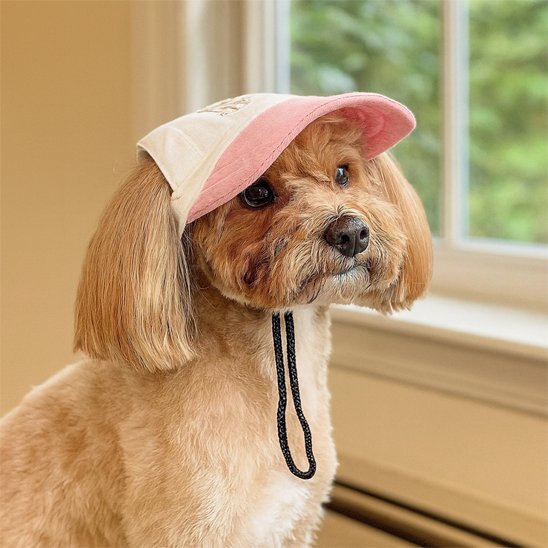 Casquette chien | SunnyPup Visière