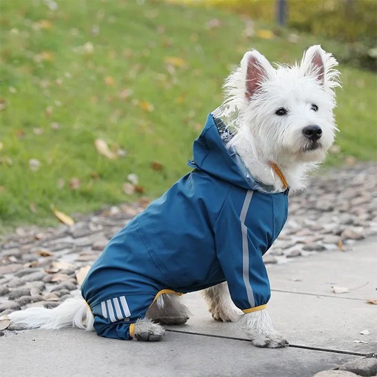 Manteau pour chien | RainCoat Hood