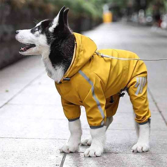 Manteau pour chien | RainCoat Hood