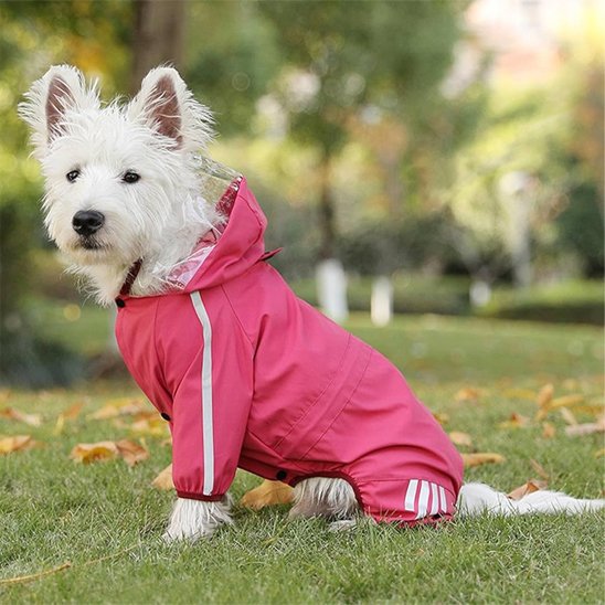 Manteau pour chien | RainCoat Hood
