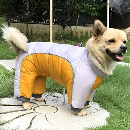 Manteau pour chien | Habit Rétro