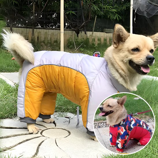 Manteau pour chien | Habit Rétro