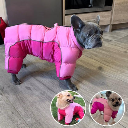 Manteau pour chien | Habit Rétro