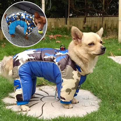 Manteau pour chien | Habit Rétro