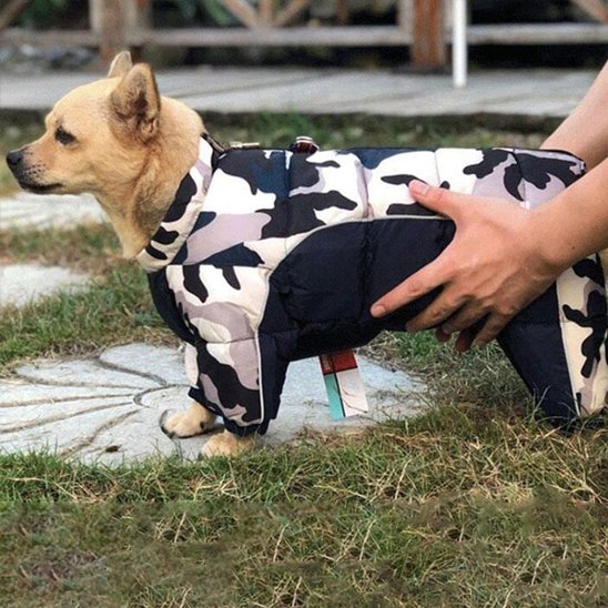 Manteau pour chien | Habit Rétro