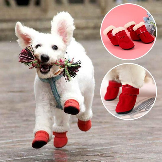 Chaussures Chien | 4Seasons Boots