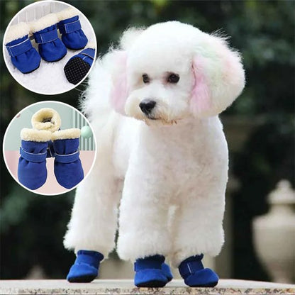 Chaussures Chien | 4Seasons Boots