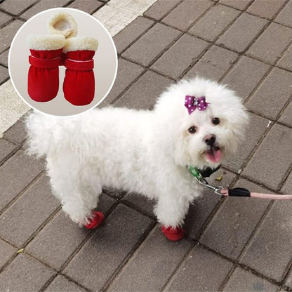 Chaussures Chien | 4Seasons Boots