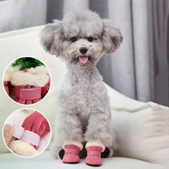 Chaussures Chien | 4Seasons Boots