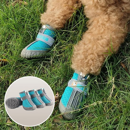 Chaussures Chien Imperméables | Chaussures Respirantes Visibilité Nocturne