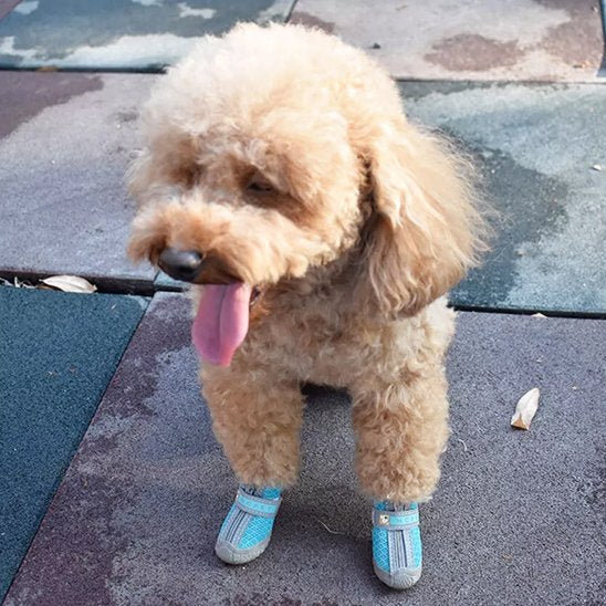 Chaussures Chien Imperméables | Chaussures Respirantes Visibilité Nocturne