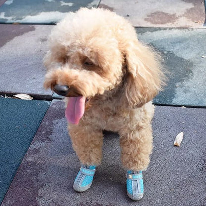 Chaussures Chien Imperméables | Chaussures Respirantes Visibilité Nocturne