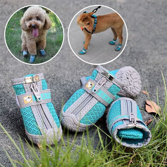 Chaussures Chien Imperméables | Chaussures Respirantes Visibilité Nocturne