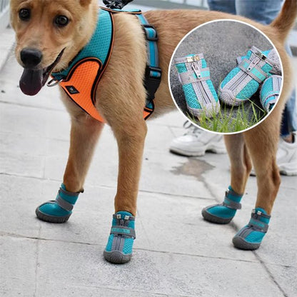 Chaussures Chien Imperméables | Chaussures Respirantes Visibilité Nocturne