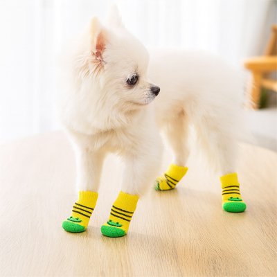 Chaussettes pour chien | HappyPaws