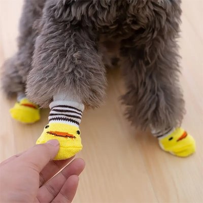 Chaussettes pour chien | HappyPaws