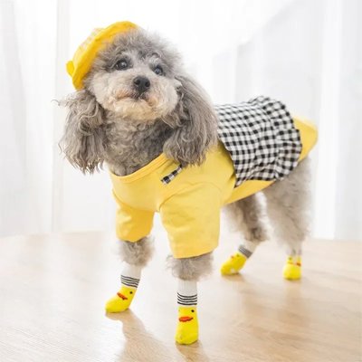 Chaussettes pour chien | HappyPaws