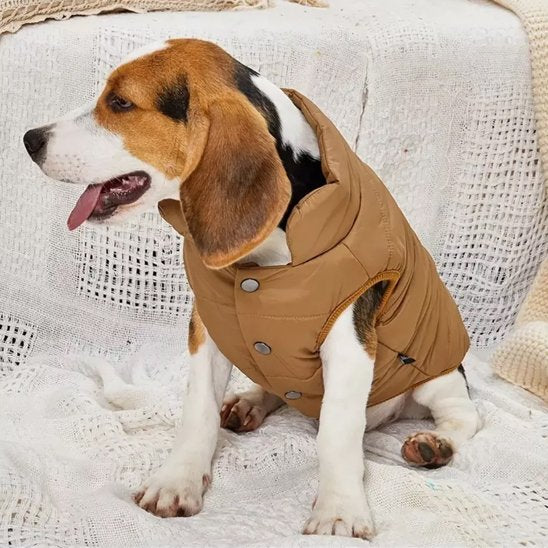 Manteau pour chien | Manteau Prestige Thermique