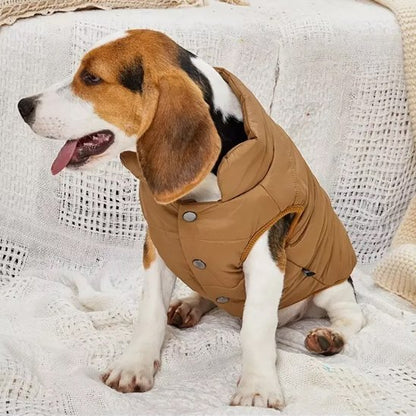 Manteau pour chien | Manteau Prestige Thermique