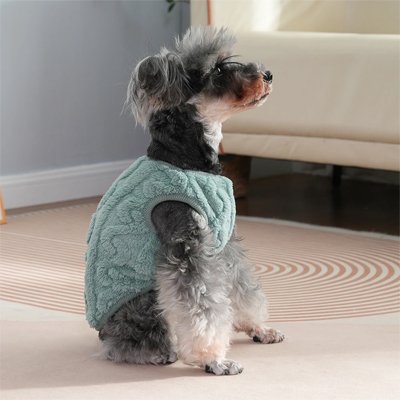 Pull pour Chien | PlushPull