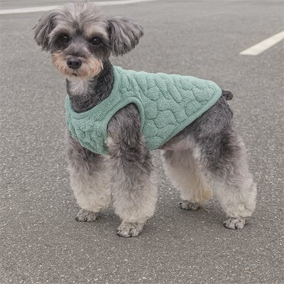 Pull pour Chien | PlushPull