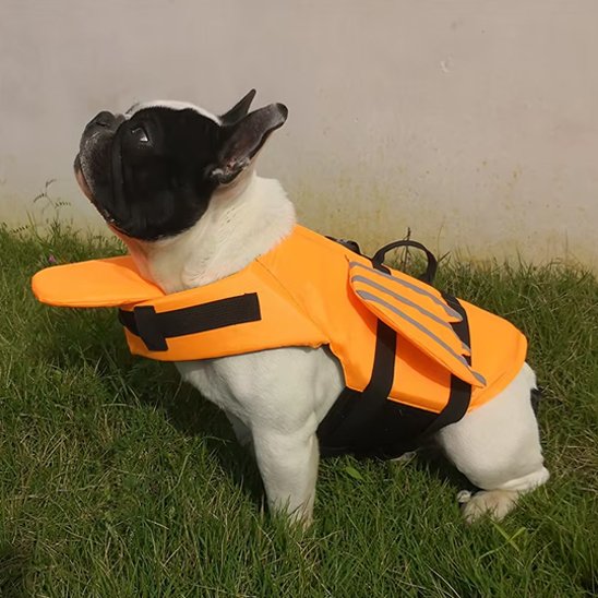 Gilet de sauvetage chien | FloatFin