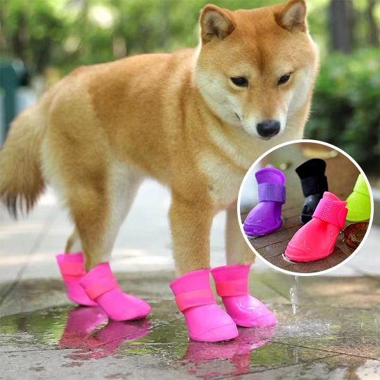 Chaussures Chien | WaterPaws