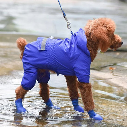 Chaussures Chien | WaterPaws