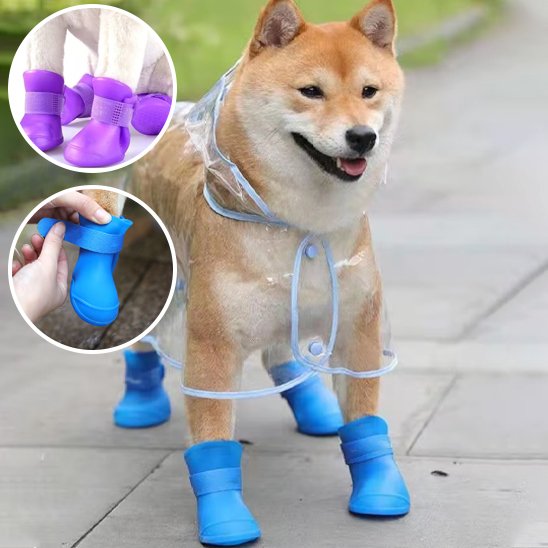 Chaussures Chien | WaterPaws