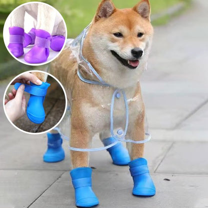 Chaussures Chien | WaterPaws