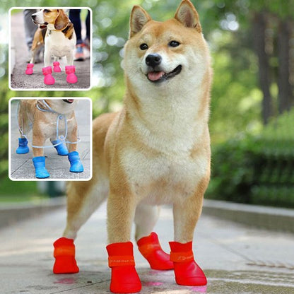 Chaussures Chien | WaterPaws
