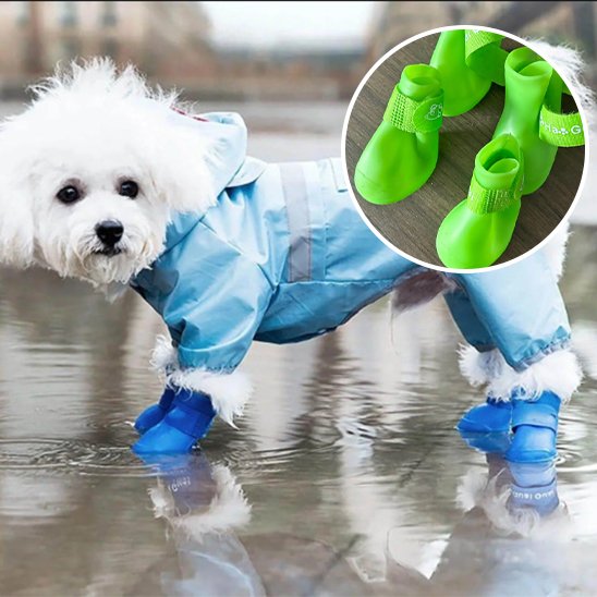 Chaussures Chien | WaterPaws