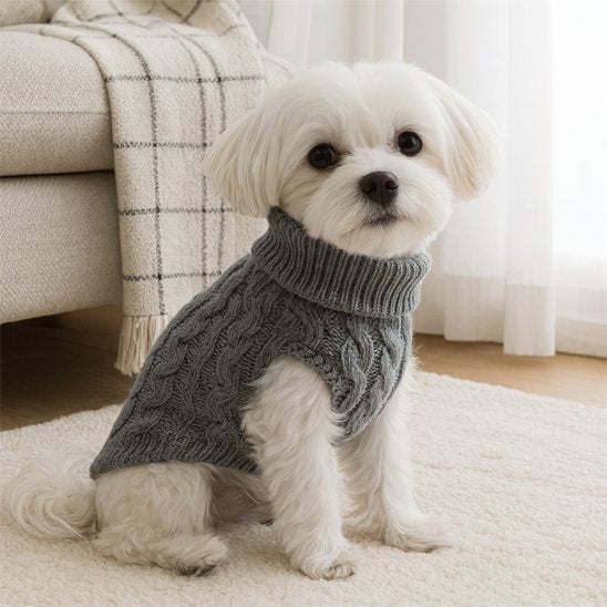 Pull pour chien | WinterPup