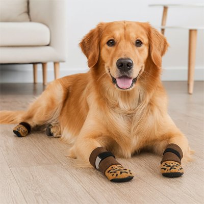 Chaussette pour chien | Chaussettes Grip Plus
