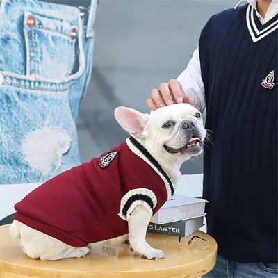 Pull pour Chien | Pull Universitaire Chien