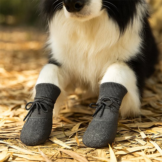 Chaussure Chien | PawBoots Protection