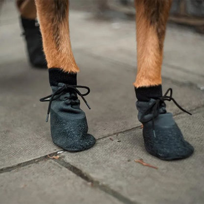 Chaussure Chien | PawBoots Protection