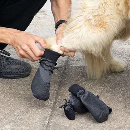 Chaussure Chien | PawBoots Protection