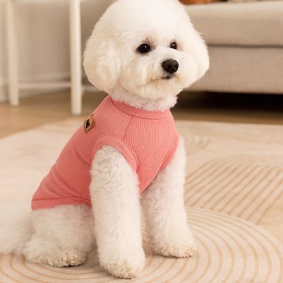 Pull pour Chien | CozyBear Pull Chien