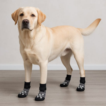Chaussettes pour chien | PawProtect