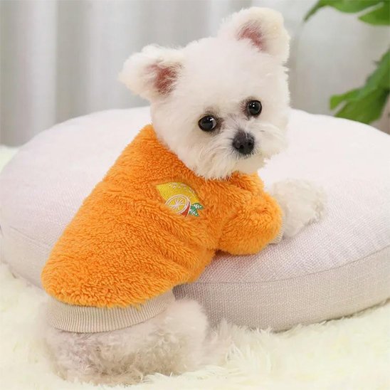 Pull pour Chien | Pull Sherpa Fruits
