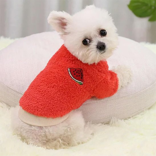 Pull pour Chien | Pull Sherpa Fruits