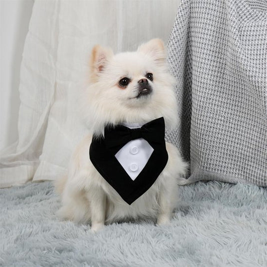 Bandana Chien | TuxedoStyle Chien