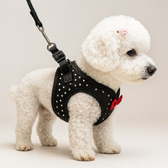 Harnais petit chien | ComfortFit Mini