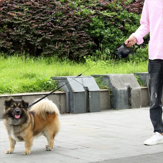 Laisse pour chien | Innovation Lumière
