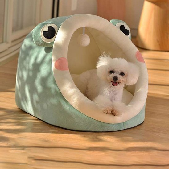 Lit pour chien | Grenouille