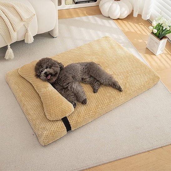 Lit pour chien | DCouchage design pour chiens